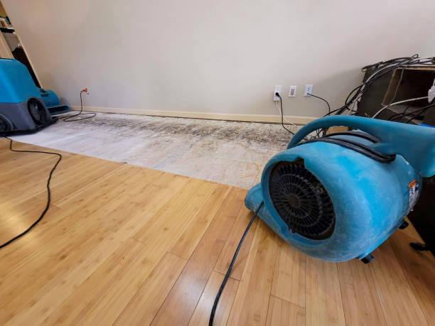 Professional Burst Pipe Water Damage technician working in Pickstown, SD